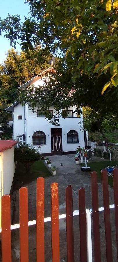 Sobe Lara Lägenhet Donji Milanovac Exteriör bild