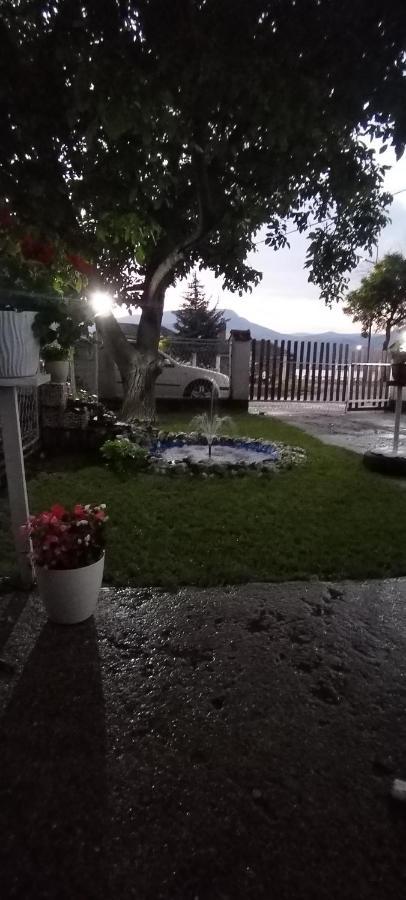 Sobe Lara Lägenhet Donji Milanovac Exteriör bild