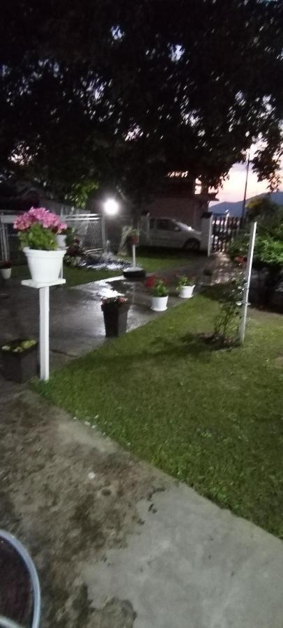 Sobe Lara Lägenhet Donji Milanovac Exteriör bild
