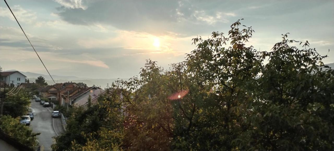 Sobe Lara Lägenhet Donji Milanovac Exteriör bild